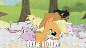 Apple Bloom!