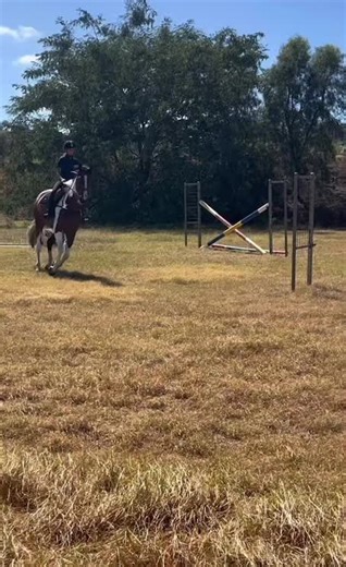 I miss riding mister Harley 😢 #equestrian #horses #viral #fyp #real #virallllllllllllllllllllllllll #harleyandruby #relatable #unlockmylikes #horses #harley #equestrian #fyppppppppppppppppppppppp