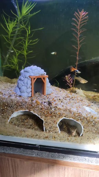 Aquarium Cave Creation Process for Fish