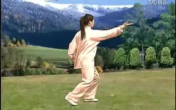 吴阿敏48式/四十八式太极拳示范教学及讲解