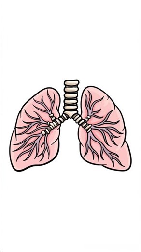 How to Draw a simple chest Step by Step Guide #viral #art #school project #video