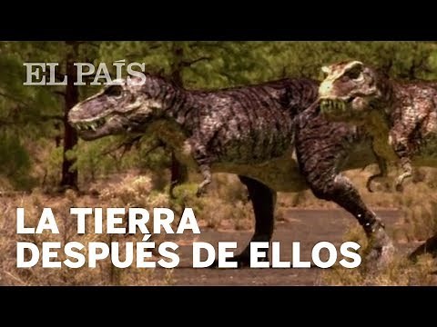 ¿Cómo era la Tierra tras la extinción de los dinosaurios? | Materia
