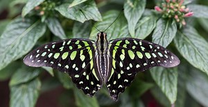 Discover | Natural History Museum