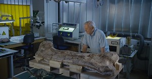 Nature | Museum Alive with David Attenborough | Season 43 | Episode 9
