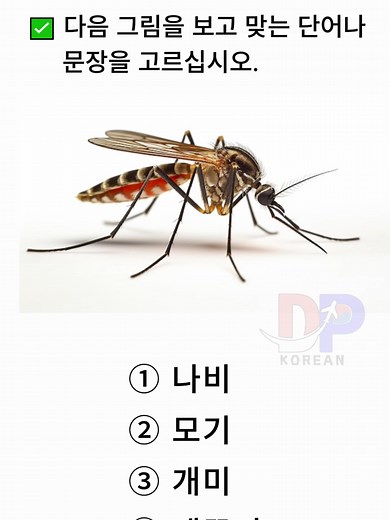 KOREAN EPS TOPIK Test Practice: Reading & Listening