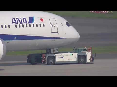 【航空機】羽田空港 旅客機を牽引するシャコタン作業車 2017/06/20