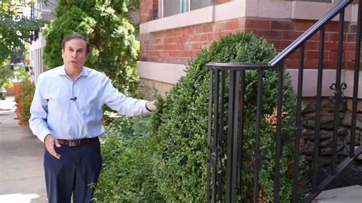 Boxwood killing moth has arrived in Cincinnati: How to protect your plants