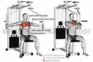 Machine fly exercise instructions and video | Weight Training Guide