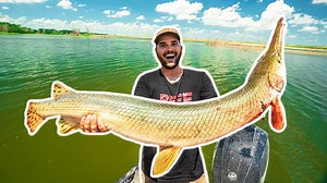 I caught a giant river gar!🐟