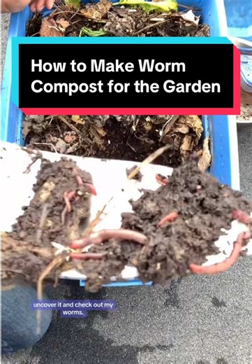 Worm Compost for the Garden: Easy Vermicompost How-To