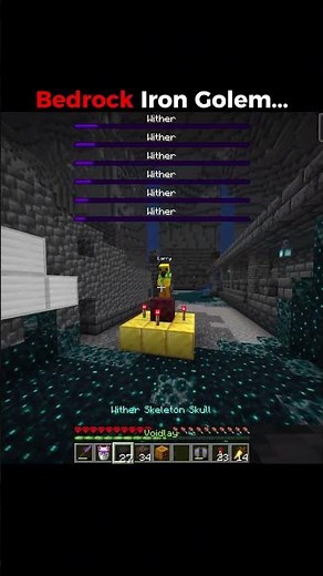 Pov Java VS Bedrock Iron Golem...