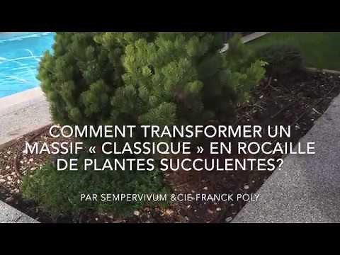 Comment réaliser une rocaille de plantes succulentes rustiques belles toute l’année