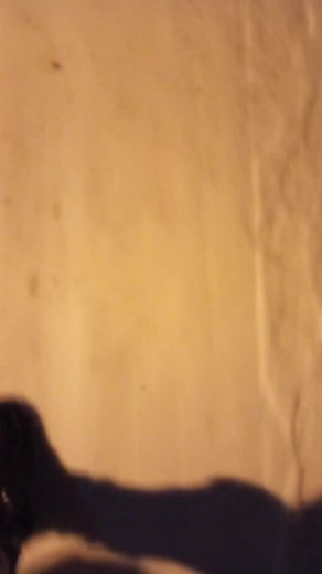 Жду зиму только ради этого😂💕 #_anastasis_194 #веселье #жизнь #счастье #зима #🥰 #🦋 #рекомендации #fyp #recommendations