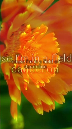 Ruth B - Dandelion. Lyrics | (Dandelion Speed-up) | Dandelion Lyrics