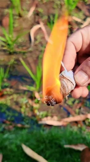 Survival Skills: Extreme Weather Fire Starting Method 🔥 #survival #campping #bushcraft #lifehack