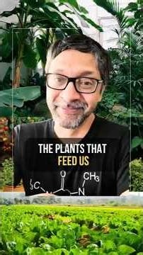 The Plants That Feed Us