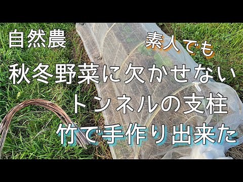 手作りのトンネル支柱 素人でも女性でも簡単に作れる👍