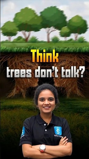 How Do Trees SECRETLY Talk To Each Other?