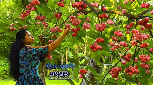 Java apple jam cordial and desserts ASMR cooking