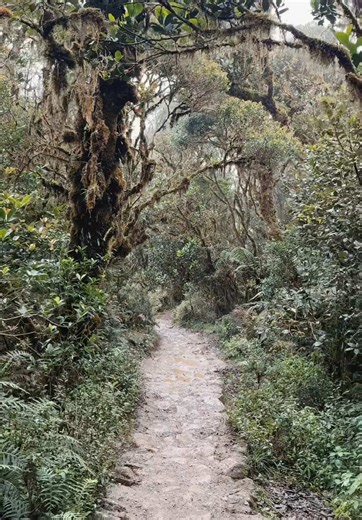 na para bang nasa avatar kami 🥹 #mtpulag