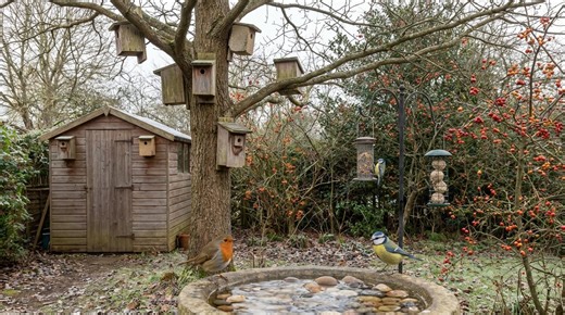 Gardeners' World warns anyone with a bird box: five urgent weekend jobs to make your garden a nesting magnet - Netmums
