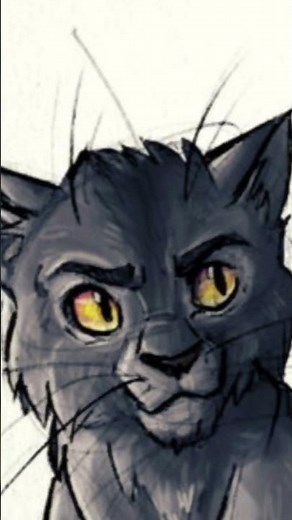 The entire Warrior Cats series ￼Summarized in one video￼