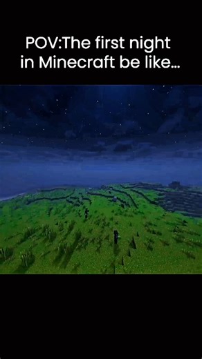THE FIRST NIGHT IN MINECRAFT BE LIKE...