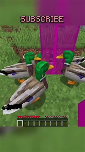 best duck trap in minecraft