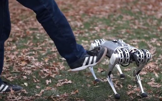 世界首个四足机器人后空翻，MIT迷你猎豹Mini Cheetah【技术 | MIT | 未来机器】
