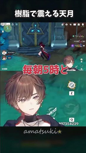 【原神】モスラメソと念願のコラボを楽しむ天月③