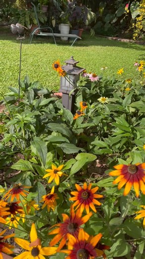 Al's Flora Uganda on Reels