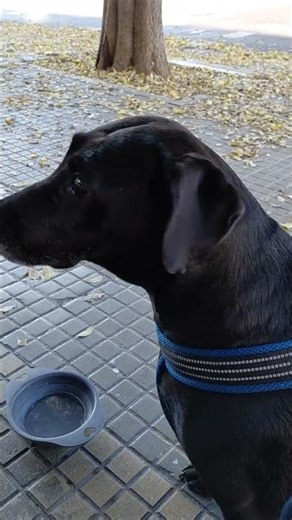 Café matinal otoñal de finde.