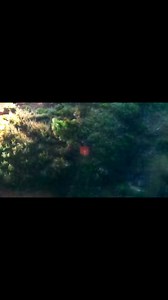 76K views · 814 reactions | Drone Surveillance Cracks Down on Anti-Social Activities in Eluru | Eluru Police Action #DroneSurveillance #CommandControlRoom #EluruPolice #SmartPolicing #TrafficManagement #PublicSafety #DroneResponse #EluruDistrict #AndhraPradeshPolice #SPPratapShivaKishoreIPS #appolice #APPOLICE100 | Eluru district police | Facebook