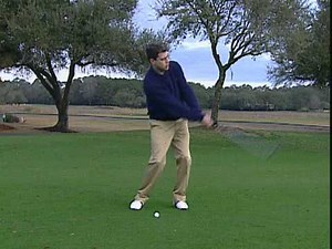 Tips Plus: David Leadbetter (May 2011)