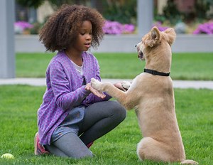 Tráiler final de 'Annie', el musical renovado con Quvenzhané Wallis