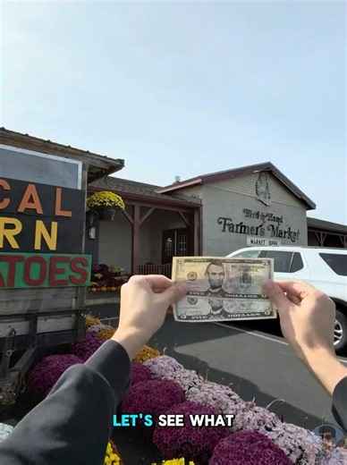 What Can $10 Buy at a Tourist Amish Market? 🛒💵