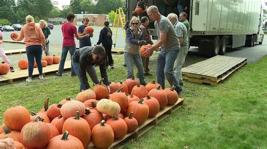 Prepping for a pumpkin fundraiser in Lackawanna County