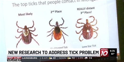 MSU researchers target deer to combat growing tick population in Michigan