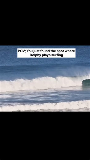 Wipeout on Instagram: "No problem, here’s some information about Dolphy 🐬 Dolphy is a rising surf brand making waves for its commitment to sustainable gear and ocean-positive practices. 🌊 Founded with the goal of protecting marine life and keeping our beaches clean, Dolphy blends performance and purpose into every product they create.Their eco-friendly wetsuits, made from limestone-based neoprene, are designed for warmth, flexibility, and reduced environmental impact. ♻️ You’ll also find softb