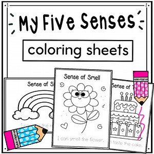 My Five Senses | Cute Coloring Sheets | Preschool Trace & Color | Kids Activity