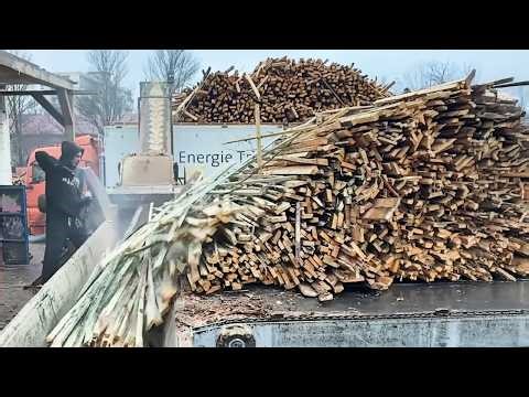 The Most Skilled Log Feeding Operator I've Ever Seen