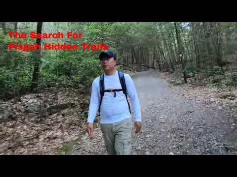 Discovering New Hampshire Wild's Heart: Pisgah's Hidden Trails #hiking #love #nature #mountains