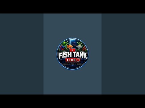 Fish tank episode 0004