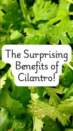 Cilantro Does THIS to Your Body