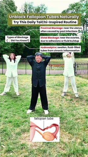 Types of Blocked Fallopian Tubes & Natural Ways to Support Healing