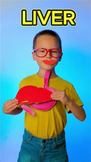 🍎 Learn How Our Body Processes Food 🍽️ #kids #learn
