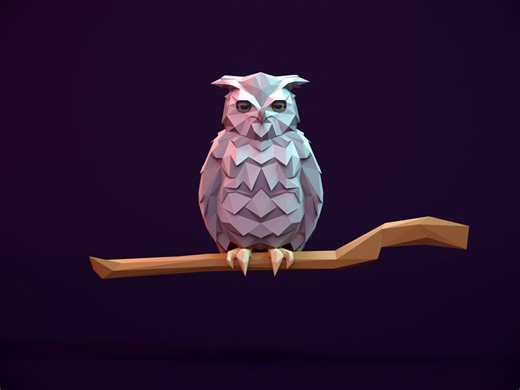 Owl - Infinite Skater