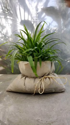 1.2K views · 41 reactions | #diy - VASO DECORATIVO para plantas feito...