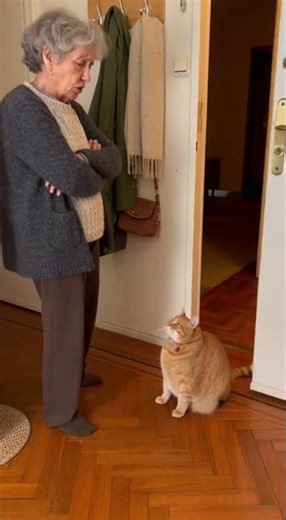 Saison 1 Episode 14 Quand ta mère voit ton bulletin 😭😾