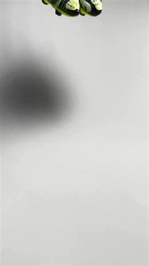 Fot the creatives. PUMA’s new Future 9 ‘Creativity’ allows you to stand out and do your thing on the pitch in style. Grab your pair online now at Pro:Direct Soccer - the World’s Largest Bootroom. | Pro Direct Soccer